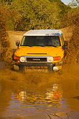 AUT 29 RK1065 01
2007 Toyota FJ Cruiser Yellow And White Head On Shot In Water In Motion