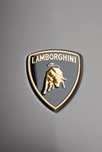 AUT 30 RK4861 01
2008 Lamborghini Reventon Gray Emblem Detail Studio