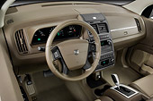 AUT 30 IZ0694 01
2010 Dodge Journey RT Gold Interior Detail Studio