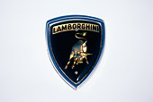 AUT 30 RK0300 01
Detail Of Emblem Of White Lamborghini