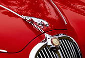 AUT 30 RK0529 09
1966 Jaguar S-Type Close Up Of Emblem