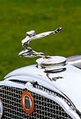 AUT 30 RK0542 02
1931 Buick Custom Convertible Victoria Close Up Of Emblem