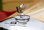 AUT 30 RK0543 14
1951 Bentley Radford Countryman Saloon Close Up Of Emblem