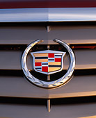 AUT 30 RK1041 11
2002 Cadillac CTS Burgundy Detail Emblem Shot