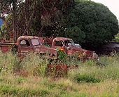 AUT 30 RK1460 01
Rusted Trucks In Junk Yard Tall Weeds