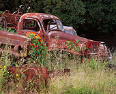 AUT 30 RK1460 03
Rusted Trucks In Junk Yard Tall Weeds