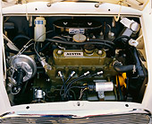 AUT 30 RK1974 01
1966 Austin Mini Cooper S White Black Top Detail Engine Shot