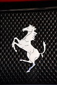 AUT 30 RK2488 02
Ferrari F-50 GTR1 Red Detail Emblem Shot
