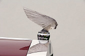 AUT 30 RK2761 01
Victoire Spirit Of The Wind Mascot on Rolls-Royce Silver Cloud I James Young Sedanca Coupe