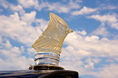 AUT 30 RK3326 01
Hood Ornament