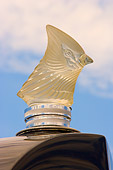 AUT 30 RK3327 01
Hood Ornament