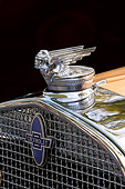 AUT 30 RK3369 01
Hood Ornament
