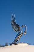 AUT 30 RK3374 01
1937 Packard Hood Ornament