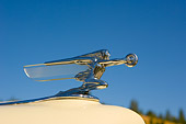 AUT 30 RK3375 01
Hood Ornament