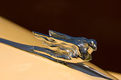 AUT 30 RK3379 01
1941 Cadillac Hood Ornament