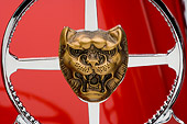 AUT 30 RK3404 01
1957 Jaguar XK140 Convertible Red Detail Studio