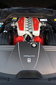 AUT 30 RK3530 01
2007 Ferrari 599 GTB Fiorano Red Detail Engine Shot