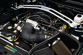 AUT 30 RK4084 01
2008 Ford Mustang Bullitt Green Engine Detail