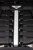 AUT 30 RK4209 01
2008 Bentley Continental GT Speed Engine Detail Studio