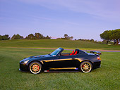 AUT 33 RK0370 01
2000 Honda S2000 Convertible Black Profile View On Grass