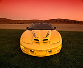 AUT 35 RK0076 05
2002 Pontiac Firebird Trans Am Convertible Yellow Head On Shot On Grass Wide Angle Filtered