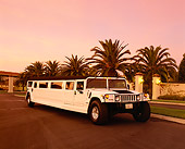 AUT 37 RK0007 13
2000 Hummer Stretched Limousine White 22 Pax 3/4 Front View On Pavement By Palm Trees Pink Sky
