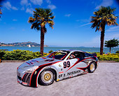 AUT 39 RK0267 02
2004 Nissan 350Z GT3 Race Car 3/4 Front View By Palm Trees And Water