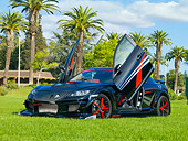 AUT 39 RK0407 01
2004 Mazda RX-8 Custom Black 3/4 Front View Doors Open On Grass By Palm Trees