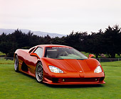 AUT 40 RK0210 02
2005 SSC Aero Copper 3/4 Front View On Grass