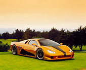 AUT 40 RK0213 10
2005 SSC Ultimate Aero Gold And Black 3/4 Side View On Grass By Trees