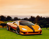 AUT 40 RK0214 03
2005 SSC Ultimate Aero Gold And Black 3/4 Front View On Grass By Trees