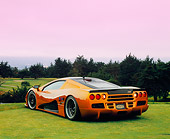 AUT 40 RK0217 03
2005 SSC Ultimate Aero Gold And Black 3/4 Rear View On Grass By Trees