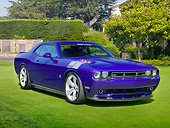 AUT 45 RK0063 01
2010 SMS 570 Challenger Purple 3/4 Front View On Grass