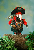 BRD 01 RC0002 01
Humorous Red Macaw Pirate Standing On Log Studio