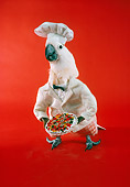 BRD 01 RC0005 01
Humorous Cockatoo Chef Holding Pizza Red Background Studio