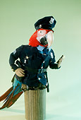 BRD 01 RC0012 01
Humorous Policeman Red Macaw Standing On Post With Ticket Book Studio