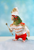 BRD 01 RC0014 01
Humorous Drum Major Macaw Holding Baton Studio