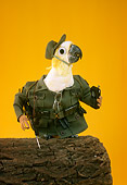 BRD 01 RC0016 01
Humorous Army Cockatoo Holding Walkie-Talkie Studio Yellow Background