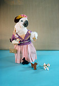 BRD 01 RC0017 01
Humorous Wealthy Woman Cockatoo Walking Dogs Studio