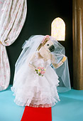 BRD 01 RC0018 01
Humorous Cockatoo Bride Walking Down The Aisle Studio