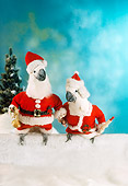 BRD 01 RC0020 01
Humorous Cockatoo Santa And Mrs. Claus Sitting On Snow Studio