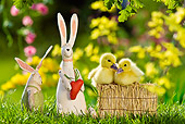 BRD 03 KH0034 01
Two Ducklings Sitting On Mini Hay Bale By Easter Bunnies