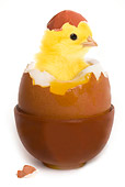 BRD 10 JE0011 01
Chick Hatching Out Of Boiled Egg On White Seamless