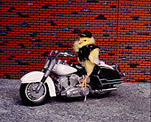BRD 10 RK0001 14
Chick On Motorcycle Studio