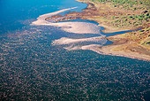 BRD 11 MH0040 01
Aerial View Of Lesser Flamingo Flying Over Lake Bogoria Kenya