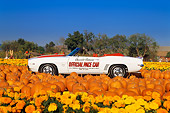 CAM 03 RK0023 05
1969 Chevrolet Camaro Pace Car Convertible White With Hugger Orange Stripes Profile View At Pumpkin Patch Blue Sky