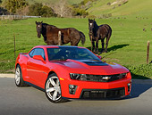 CAM 04 RK0257 01
2013 Chevrolet Camaro ZL1 Red 3/4 Front View On Pavement By Horses