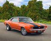 CAM 07 RK0128 01
1969 Chevrolet Camaro RS/SS Hugger Orange With Black Stripes 3/4 Front View On Pavement By Orange Trees