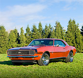 CAM 07 RK0105 01
1968 Chevrolet Camaro RS/SS Bronze 3/4 Front View In Field