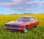 CAM 07 RK0106 01
1968 Chevrolet Camaro RS/SS Bronze 3/4 Front View In Field Of Yellow Wildflowers
